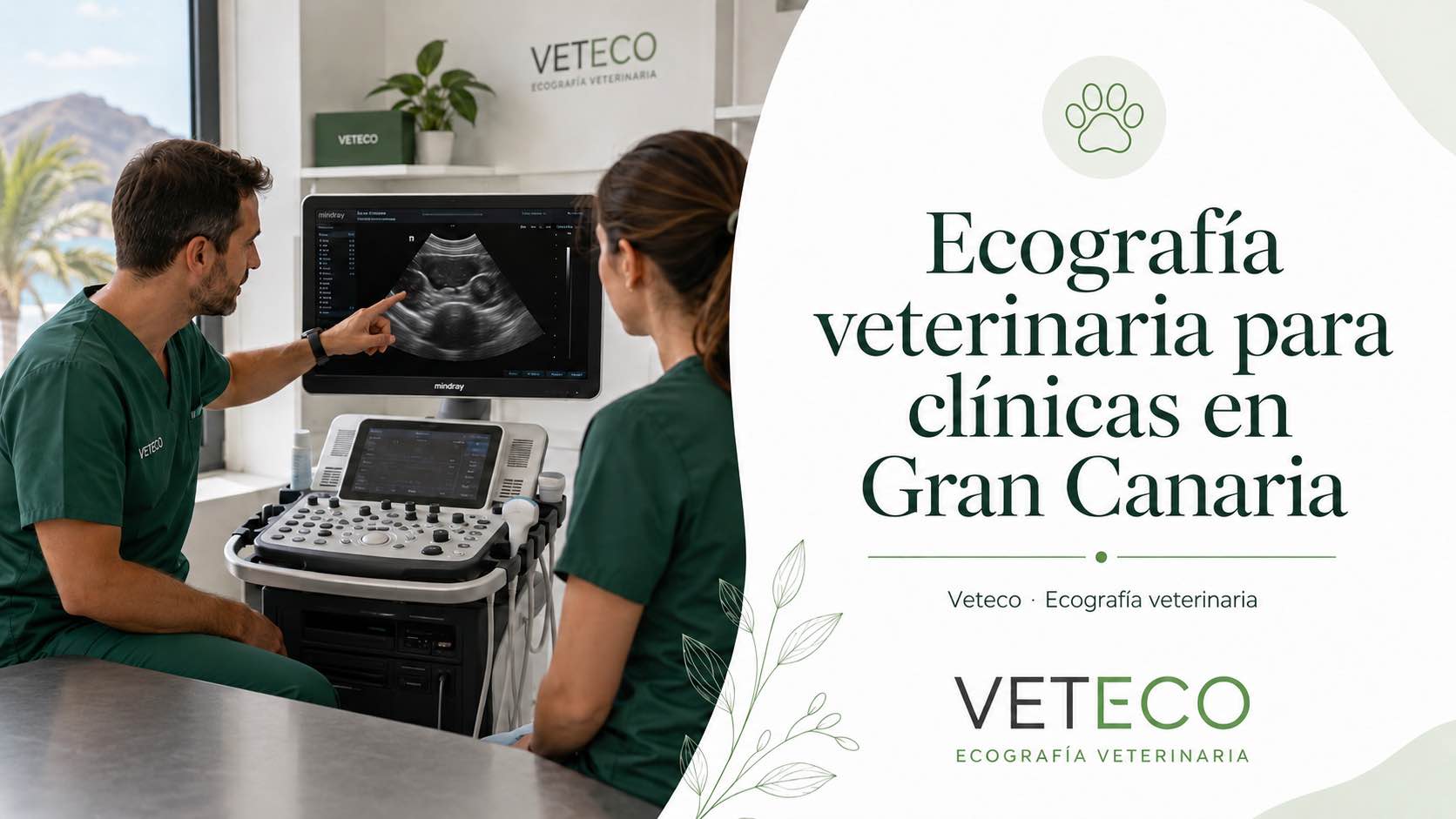 Ecografía veterinaria para clínicas en Gran Canaria