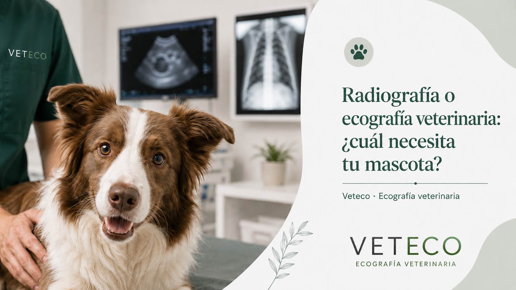 Radiografía y ecografía veterinaria