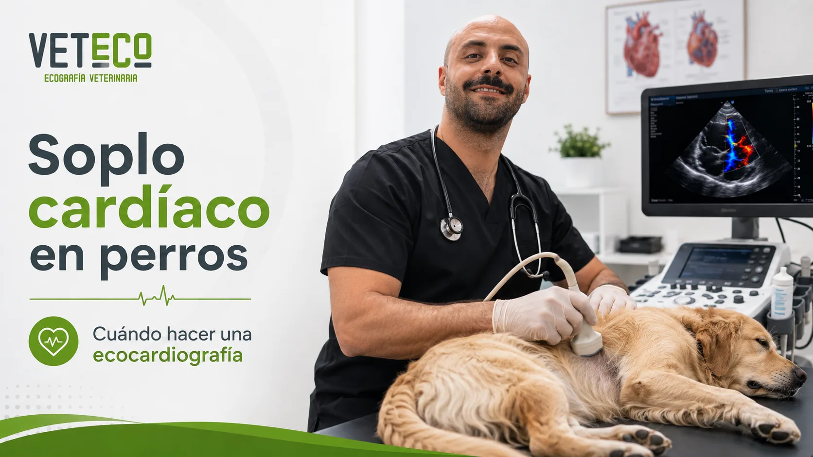 Ecocardiografía Doppler a un perro en Veteco, Maspalomas, Gran Canaria