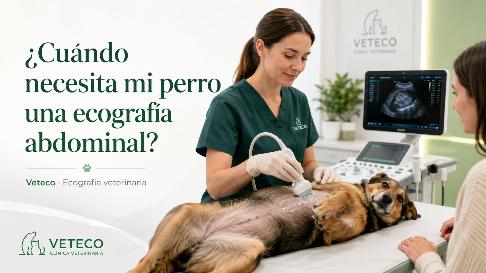 Ecografía veterinaria en perro